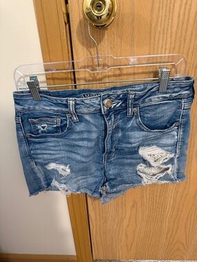 American Eagle Outfitters Blue Distressed Denim Cutoff Shorts